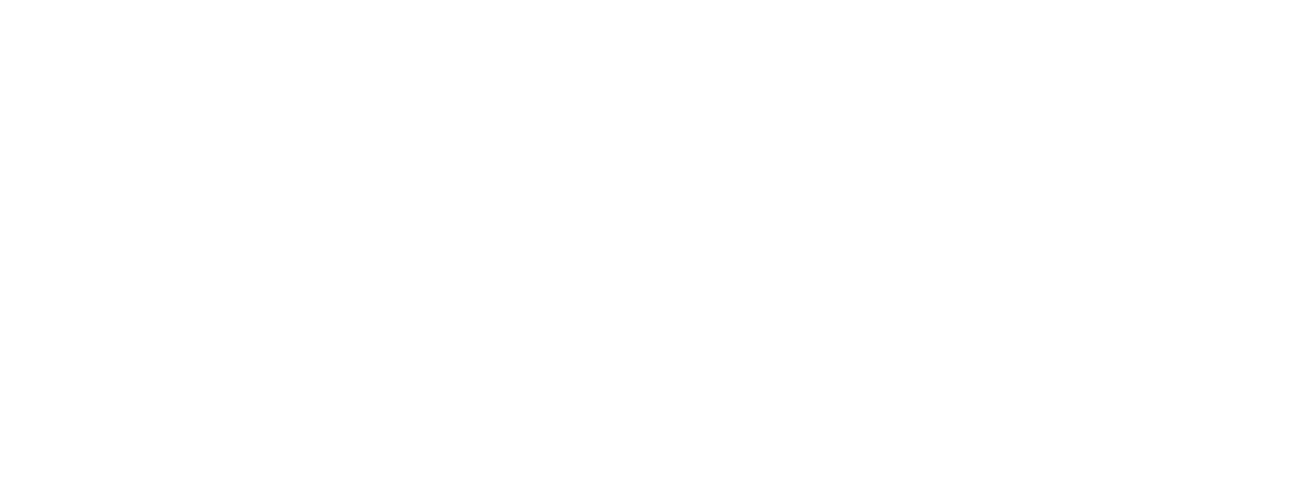 Banyoles Comerç i Futur